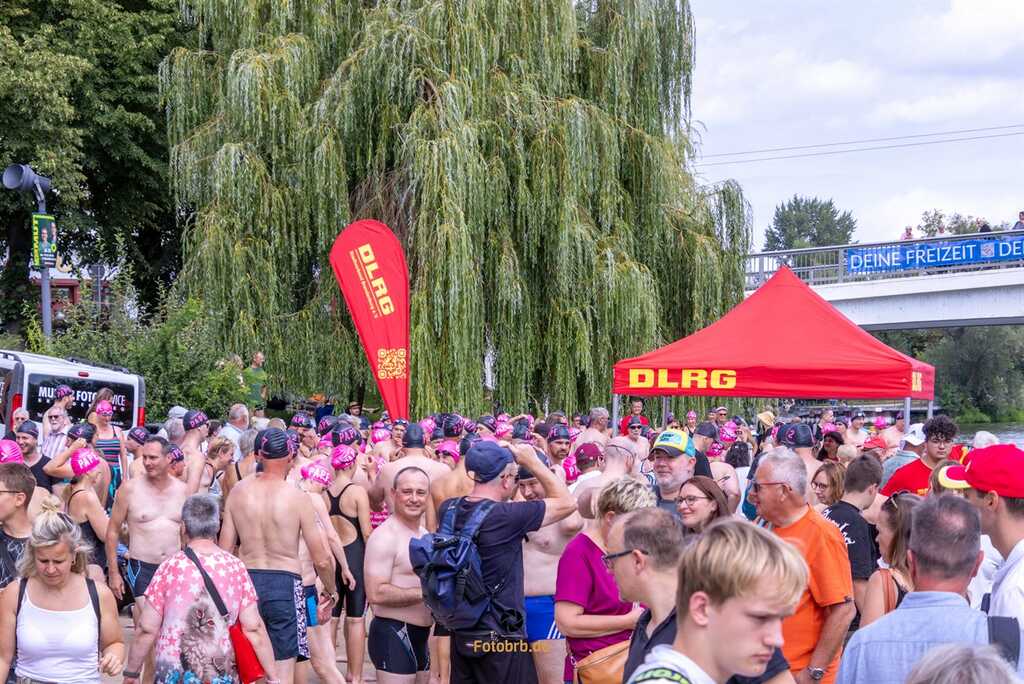 Die Stimmung bei 32. Brückenschwimmen war sehr gut