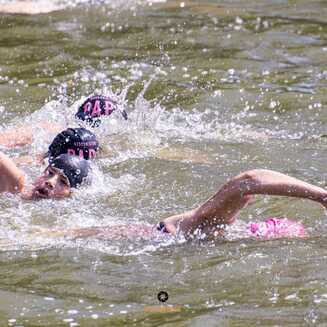 32_Brueckenschwimmen_2024_670