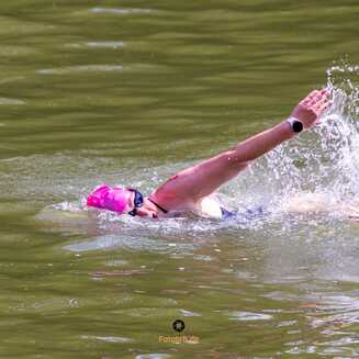 32_Brueckenschwimmen_2024_678