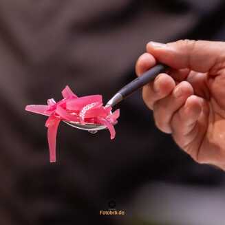 IFA Berlin feiert 100-jähriges Bestehen - Fotobrb: Faszination Fotografie aus Brandenburg an der Havel IFA_Berlin__2024_830