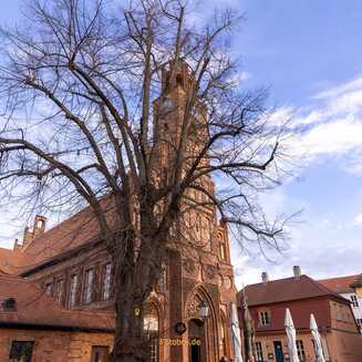 Gegen_Rechts_2025____1068