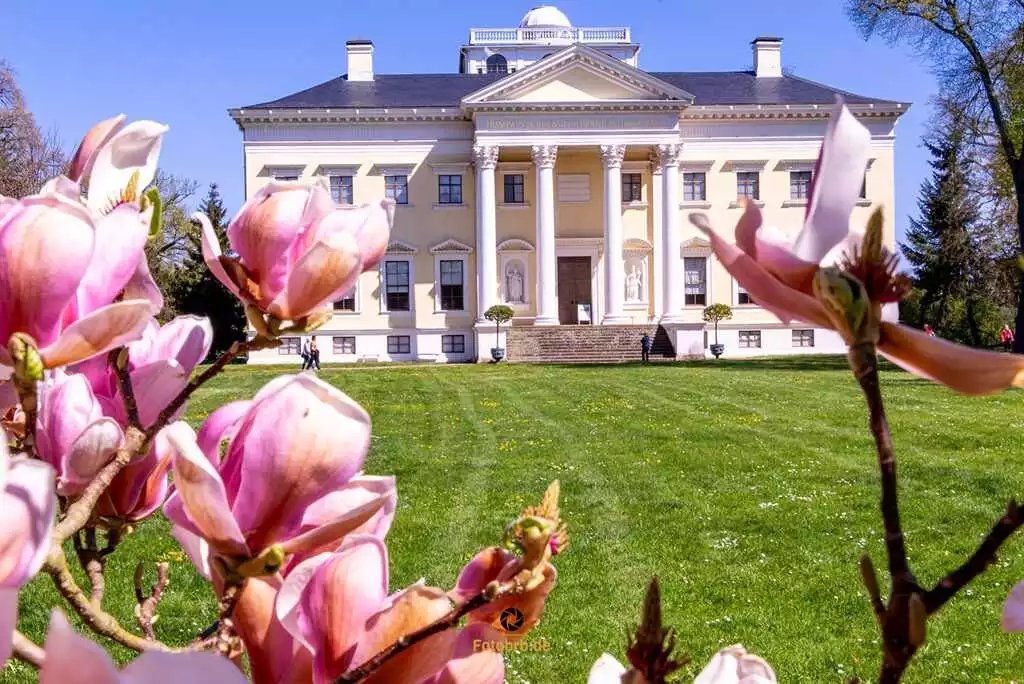 Schloss im Wörlitzer Landschaftsgarten