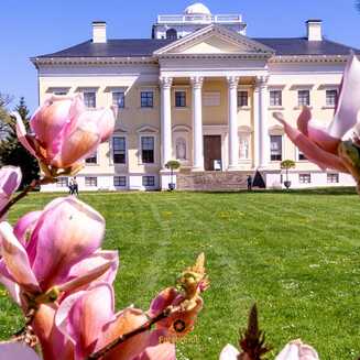 Schloss im Wörlitzer Landschaftsgarten