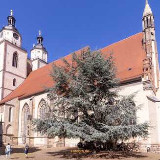 Wittenberg: Die Stadt der Reformation und Martins Luthers - Fotobrb: Faszination Fotografie aus Brandenburg an der Havel Stadtkirche St. Marien