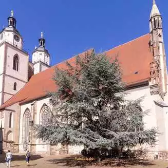 Wittenberg: Die Stadt der Reformation und Martins Luthers - Fotobrb: Faszination Fotografie aus Brandenburg an der Havel Stadtkirche St. Marien