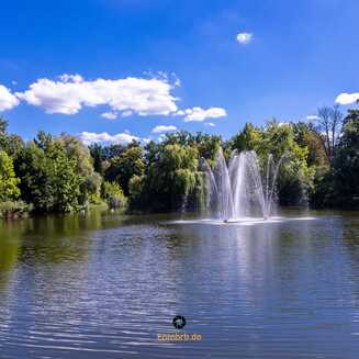 Wittenberg: Die Stadt der Reformation und Martins Luthers - Fotobrb: Faszination Fotografie aus Brandenburg an der Havel Lutherstadt_Wittenberg_2025_1457