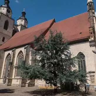 Wittenberg: Die Stadt der Reformation und Martins Luthers - Fotobrb: Faszination Fotografie aus Brandenburg an der Havel Lutherstadt_Wittenberg_2025_1461