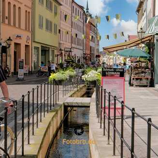 Wittenberg: Die Stadt der Reformation und Martins Luthers - Fotobrb: Faszination Fotografie aus Brandenburg an der Havel Lutherstadt_Wittenberg_2025_1463