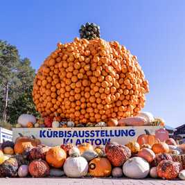 Kürbisausstellung Berlins und Brandenburgs steht in den Startlöchern – und präsentiert 2025 ein ganz besonderes Motto: „Power Frauen“.