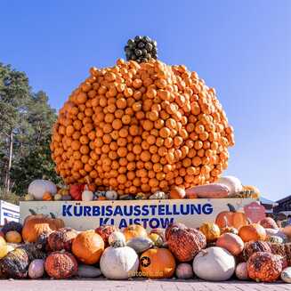 Kürbisausstellung Berlins und Brandenburgs steht in den Startlöchern – und präsentiert 2025 ein ganz besonderes Motto: „Power Frauen“.
