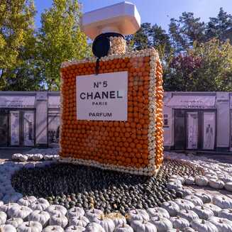 Klaistow_Kuerbis_2025_1641