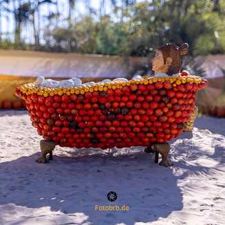 Klaistow_Kuerbis_2025_1643