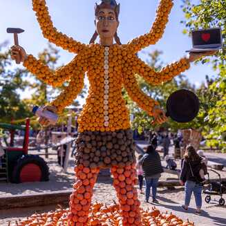 Klaistow_Kuerbis_2025_1647