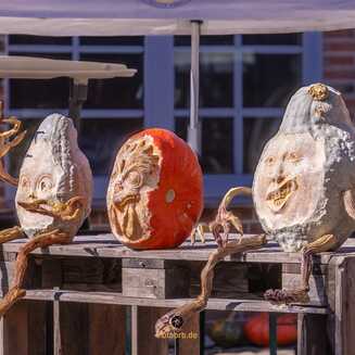 Kürbisschnitzer Daniel Brehmer fertigte schaurig schöne Schnitzkürbisse an.