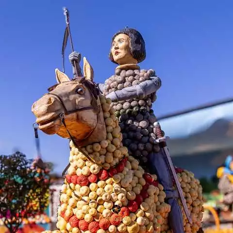Jeanne D´Arc ist aus 2.400 Buffy, 250 Shiro Grey, 100 Sophie Red und 60 Rondini (2.810 Kürbisse) bebaut worden. Die Aufbauzeit betrug mit 2 Personen 20 Stunden.