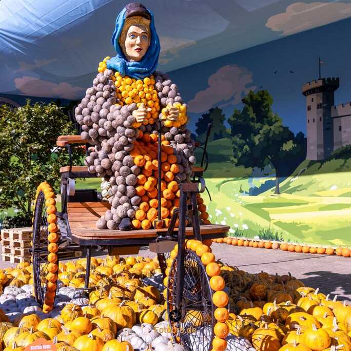 Die Figur Bertha Benz ist aus 800 Shiro Grey, 130 Pomme D´Or und 100 Pinball (1.030 Kürbisse) gebaut worden. Die Aufbauzeit betrug mit 2 Personen 16 Stunden.