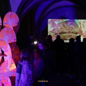 Festival of Lights Brandenburg: Ein Fest der Lichter - Fotobrb: Faszination Fotografie aus Brandenburg an der Havel Festival_of_Lights_in_brandenburg_1677