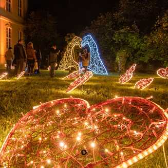 Festival of Lights Brandenburg: Ein Fest der Lichter - Fotobrb: Faszination Fotografie aus Brandenburg an der Havel Festival_of_Lights_in_brandenburg_1679