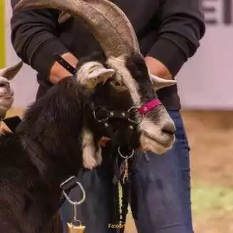 100_Jahre_IGW_2026_171