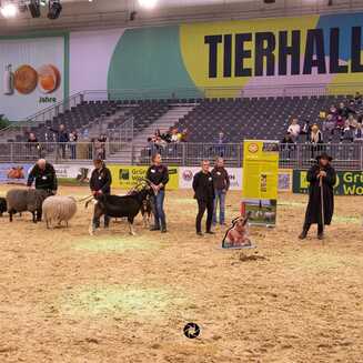 100_Jahre_IGW_2026_172