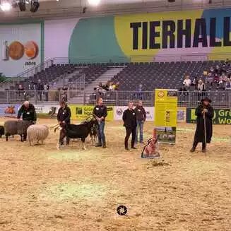 100_Jahre_IGW_2026_172