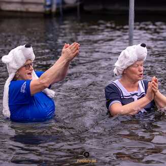 Brandenburger Eisbären stürzen sich in die Havel