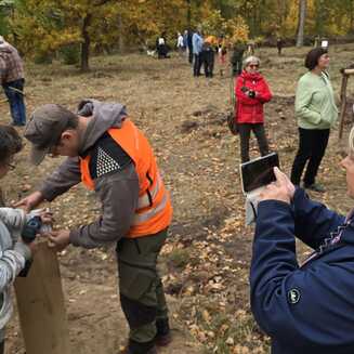 Menschen pflanzen Bäume im Wald. Eindruck vom 2. Baumpate beim Pflanzfest im Oktober 2025. © Stadt Brandenburg an der Havel / Th. Messerschmidt