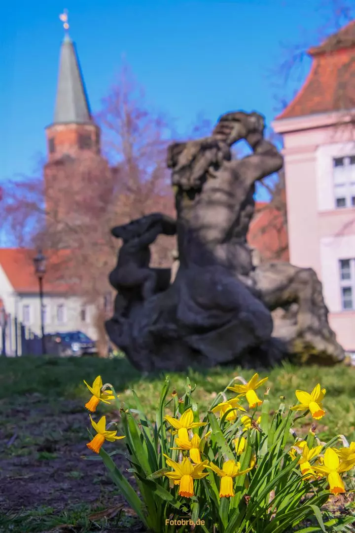 Blick von den Domlinden zum Dom zu Brandenburg
