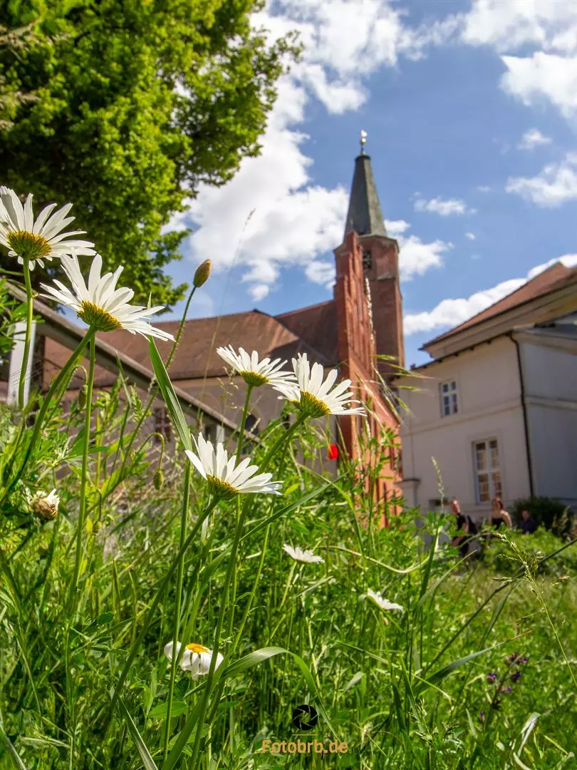 Zum Verweilen im Sommer