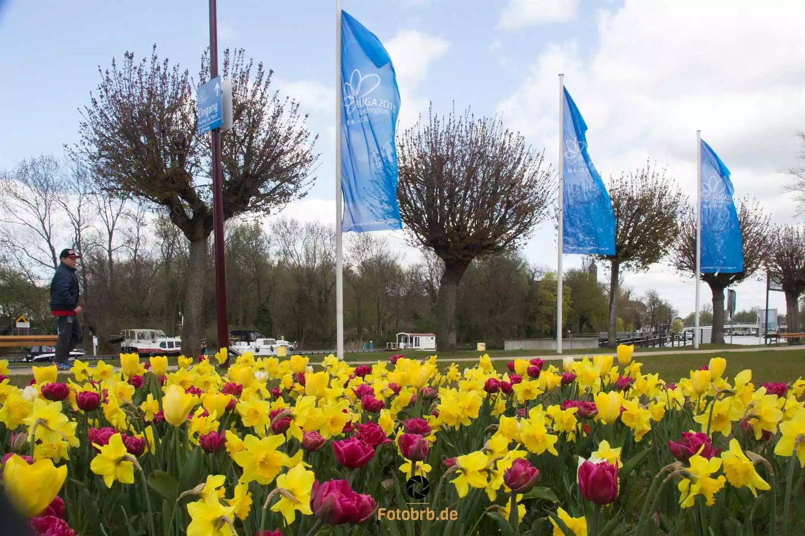 Bunte Blumen und Flaggen im Park. Zeitreise zur BUGA 2015 Festakt Foto Marco Petig 2713