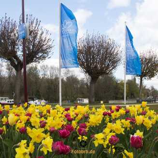 Bunte Blumen und Flaggen im Park. Zeitreise zur BUGA 2015 Festakt Foto Marco Petig 2713