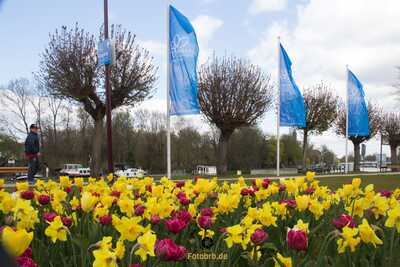 Bunte Blumen und Flaggen im Park. Zeitreise zur BUGA 2015 Festakt Foto Marco Petig 2713