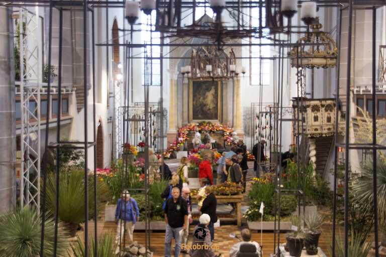 Blumenmesse in historischer Kirche