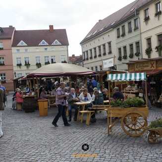 Hansestadt Havelberg – zwischen Domberg, Havel und Altstadt - fotobrb.de Zeitreise zur BUGA 2015 Havelberg Stollen Foto Marco Petig 2959