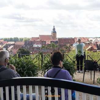 Hansestadt Havelberg – zwischen Domberg, Havel und Altstadt - fotobrb.de Zeitreise zur BUGA 2015 Havelberg Stollen Foto Marco Petig 2966