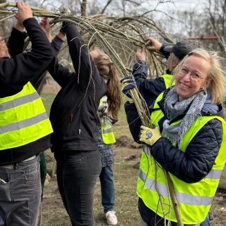 Weidendom in Wittenberge Foto: Landesgartenschau 2027 Wittenberge gGmbH