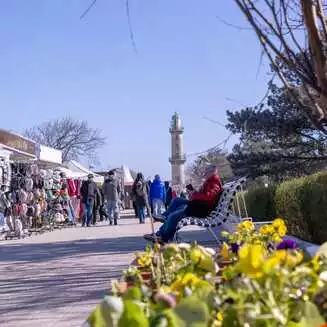Warnemuende 2026 Foto Marco Petig 3469