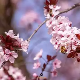 Werder Havel Foto Marco Petig 3439