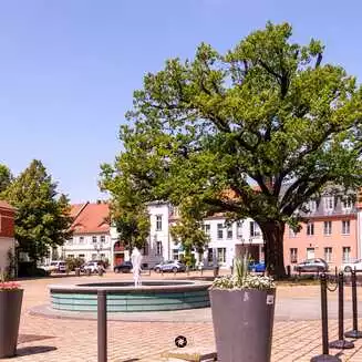 Werder Havel 2023 100