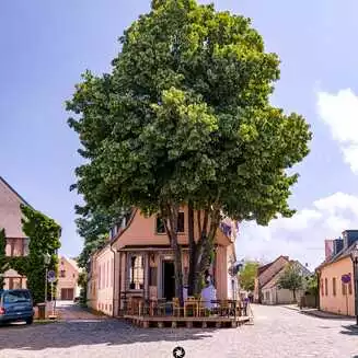 Werder Havel 2023 98