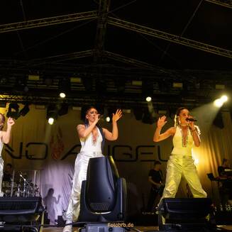Popstars am Havelufer: Die Prinzen & No Angels ganz nah - Fotobrb: Faszination Fotografie aus Brandenburg an der Havel 61 Havelfest Brandenburg an der havel StWB Konzertabend Foto Marco Petig 3912
