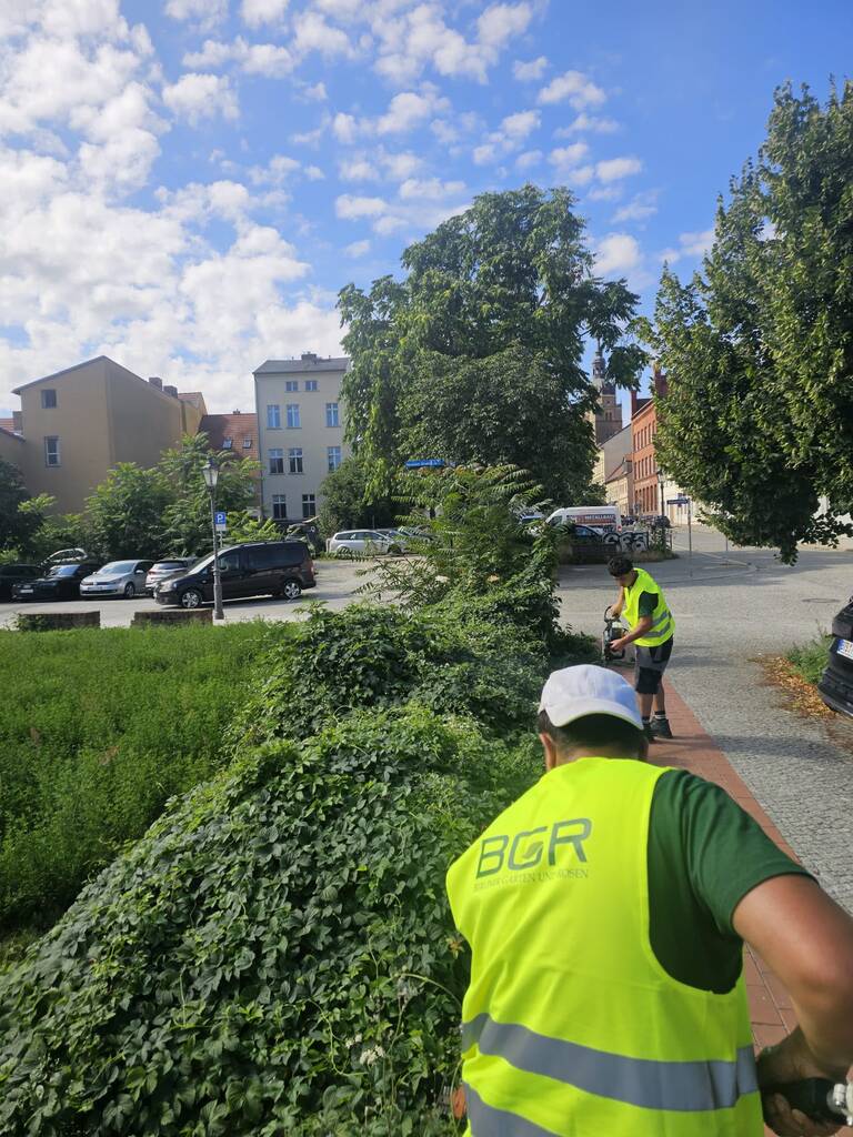Auch entlang der Hammerstraße erfolgte bereits die Pflege des Grüns. © Stadt Brandenburg an der Havel