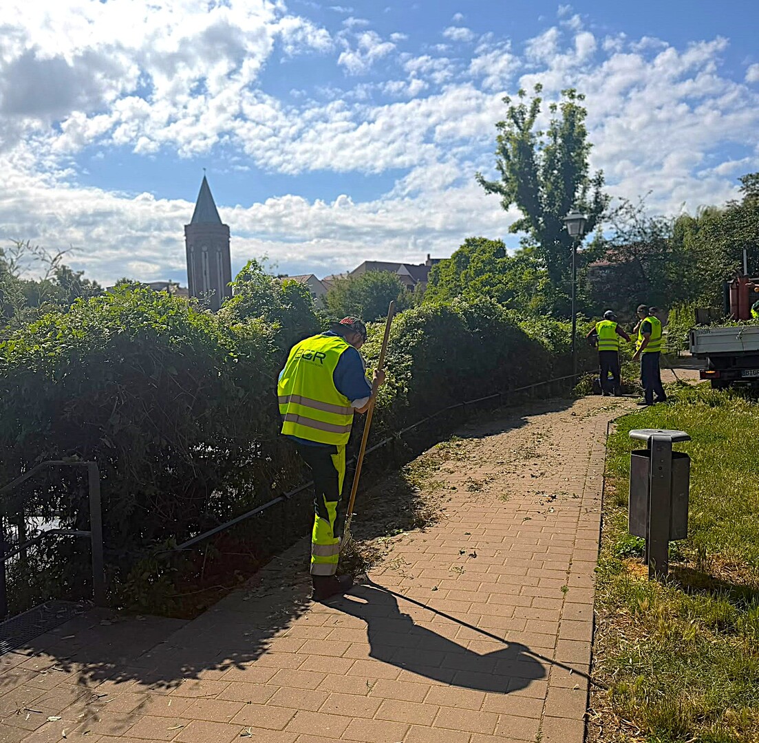 Grünflächenpflege am Uferpark Hammerstraße. © Stadt Brandenburg an der Havel