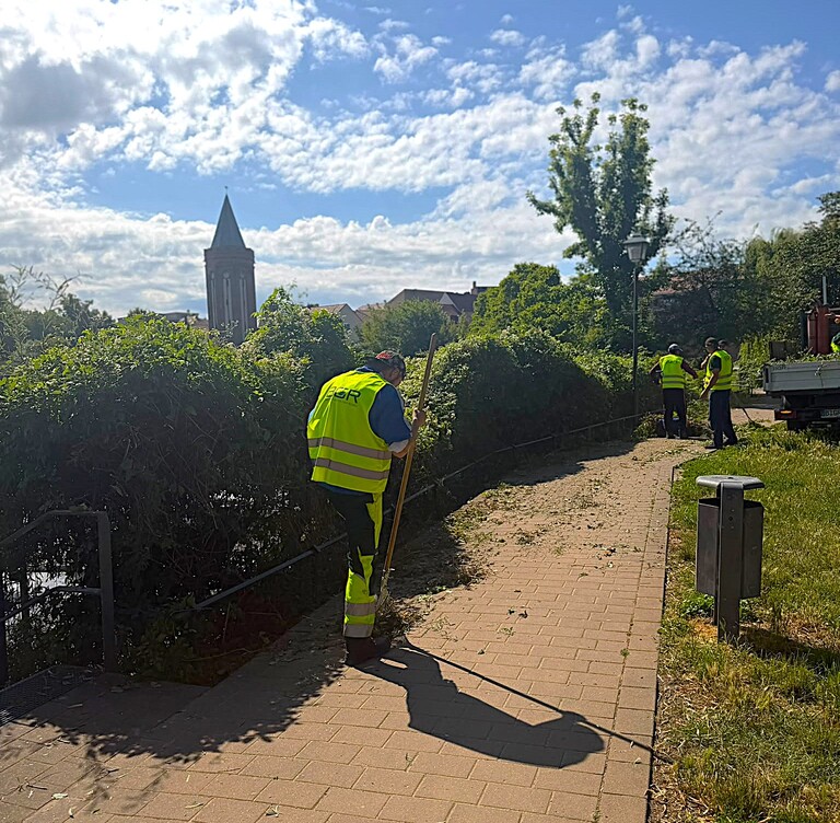 Grünflächenpflege am Uferpark Hammerstraße. © Stadt Brandenburg an der Havel