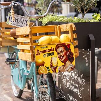 Limone sul Garda – ein malerisches Juwel am Gardasee - fotobrb.de Zitronen gehören zum Wahrzeichen von Limone sul Garda