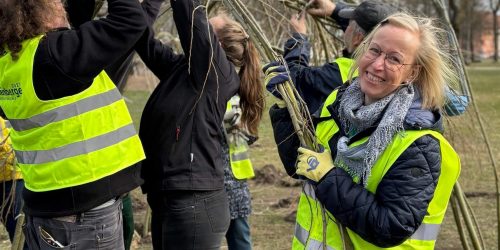 Weidendom in Wittenberge Foto: Landesgartenschau 2027 Wittenberge gGmbH