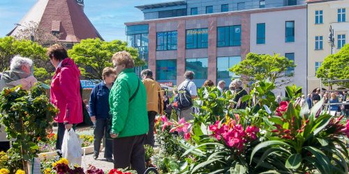 Gartenmarkt aus dem Jahr 2014