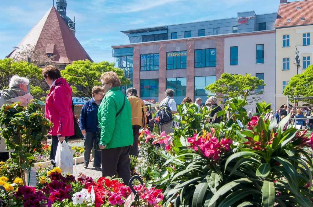 Gartenmarkt aus dem Jahr 2014