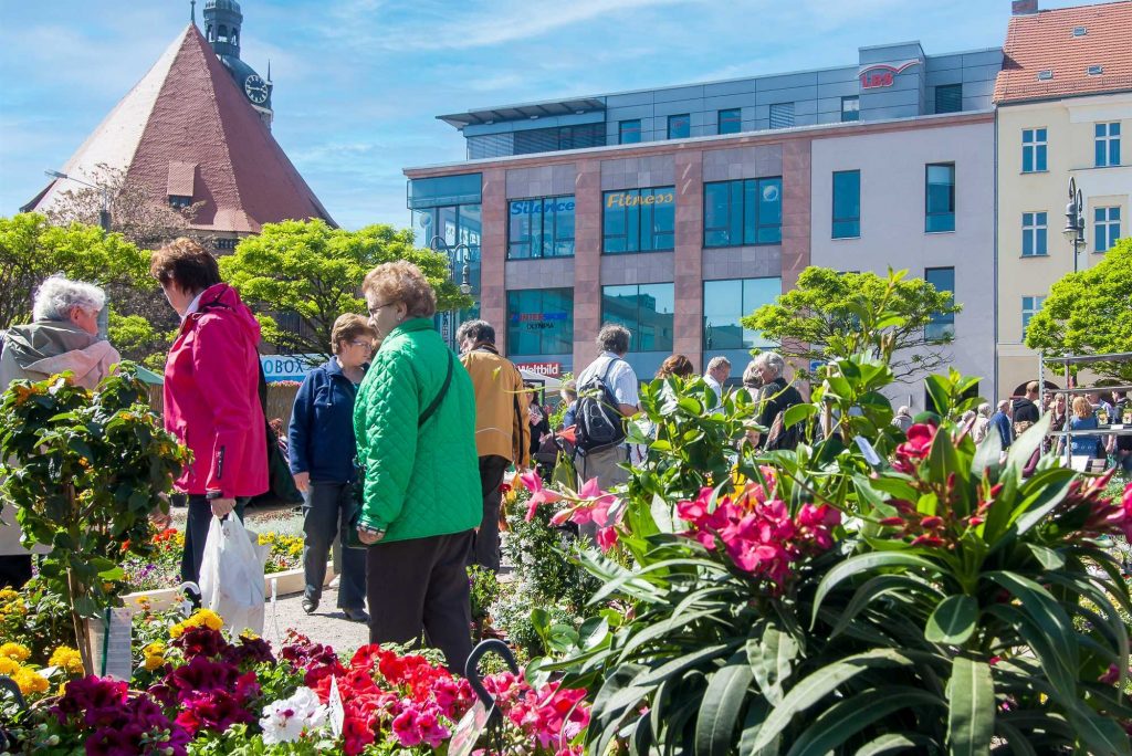 Gartenmarkt aus dem Jahr 2014