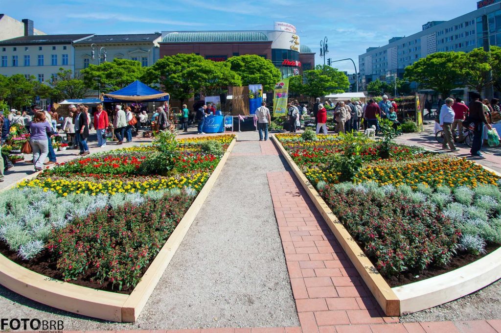 Garten-Markt auf dem Molkenmarkt